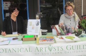 Janice Sharp (left) and Pat Mark (right) demonstrating and staffing the BAGSC Botanical Art Information Table.