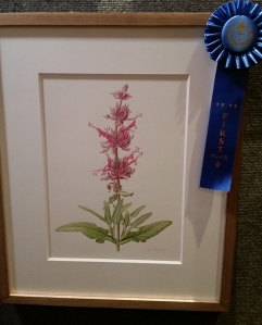 First place winner, Joan Keesey, Salvia spathacea, watercolor. © 2014, all rights reserved.