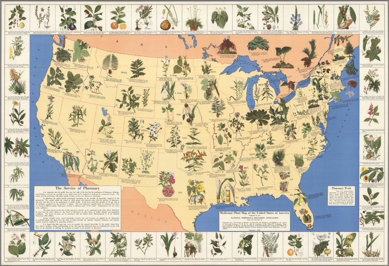 medicinal plant map of the united states 1932 Medicinal Plant Map Of The United States Bagsc News medicinal plant map of the united states