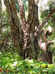 Cork oak trunk at San Diego Botanic Garden. Photo by Deb Shaw, © 2014.