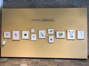 The exhibition wall faces the stairway in the Brody Botanical Center. The BAGSC logo is a permanent sign, and information about BAGSC and ASBA is available as a handout. Photo by Janice Sharp, © 2017.