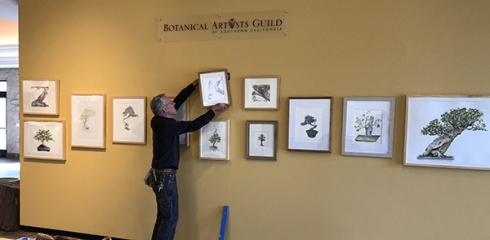 Andrew Mitchell, The Huntington, hangs the final painting in the "“Portraits of Bonsai from The Huntington Collection” in the Brody Botanical Center. Photo © 2018, Olga Ryabstova.