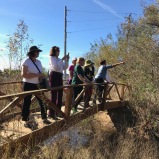 After the presentation, BAGSC members enjoyed a tour of the Marsh. BAGSC President Janice Sharp points out (?). Photo by Tania Marien, © 2018.