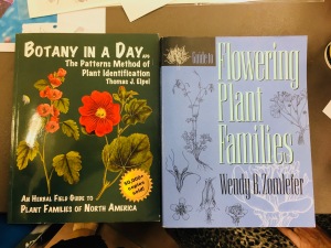 Two books recommended by Lesley Randall: "Botany in a Day: The Patterns Method of Plant Identification" by Thomas J. Elpel, ISBN-13: 978-1892784353, ISBN-10: 1892784351; and, "Guide to Flowering Plant Families" by Wendy B. Zomlefer, ISBN13: 9780807844700, ISBN-10: 0807844705. Photo by Jude Wiesenfeld, © 2018.