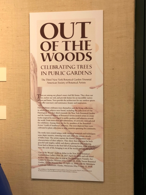 "Out of the Woods" didactic inside the exhibition.