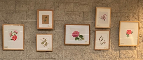 BAGSC artworks in the Brody Botanical Center at The Huntington Library, Art Museum, and Botanical Gardens.